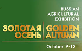 Челябинская область получила 63 медали на выставке «Золотая осень»