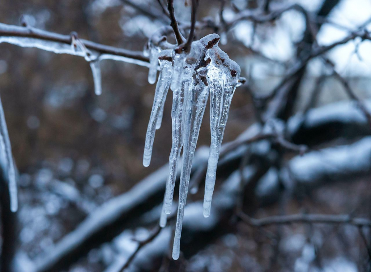 Выходные в Челябинской области пройдут без морозов*