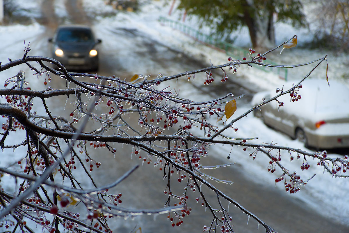 В Челябинск придут мокрый снег с дождем и плюсовые температуры