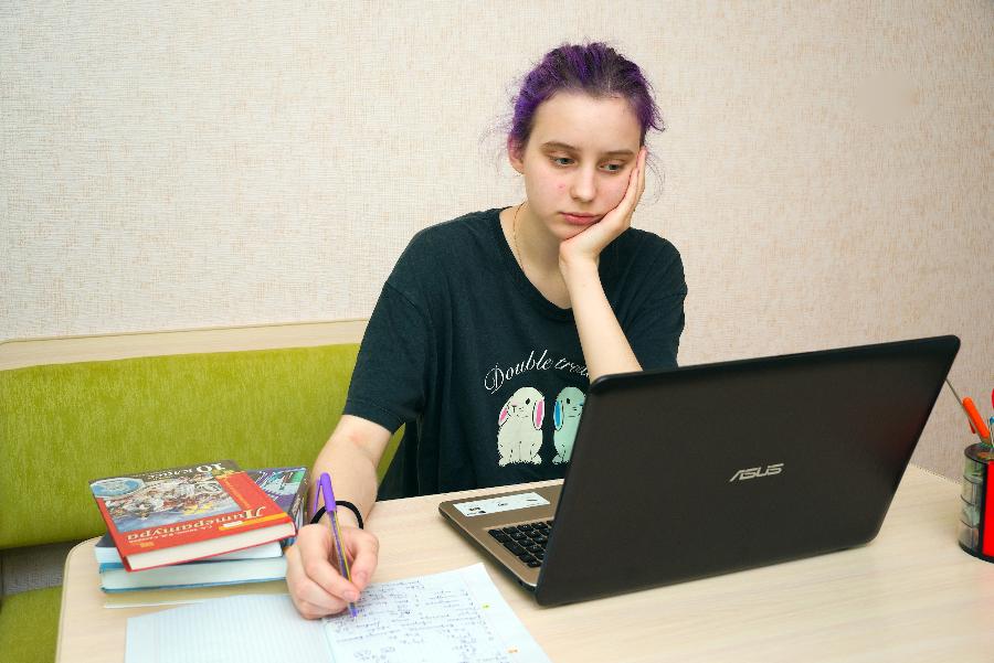 Челябинцы пожаловались на проблемы с доступом в систему «Сетевой город»*1