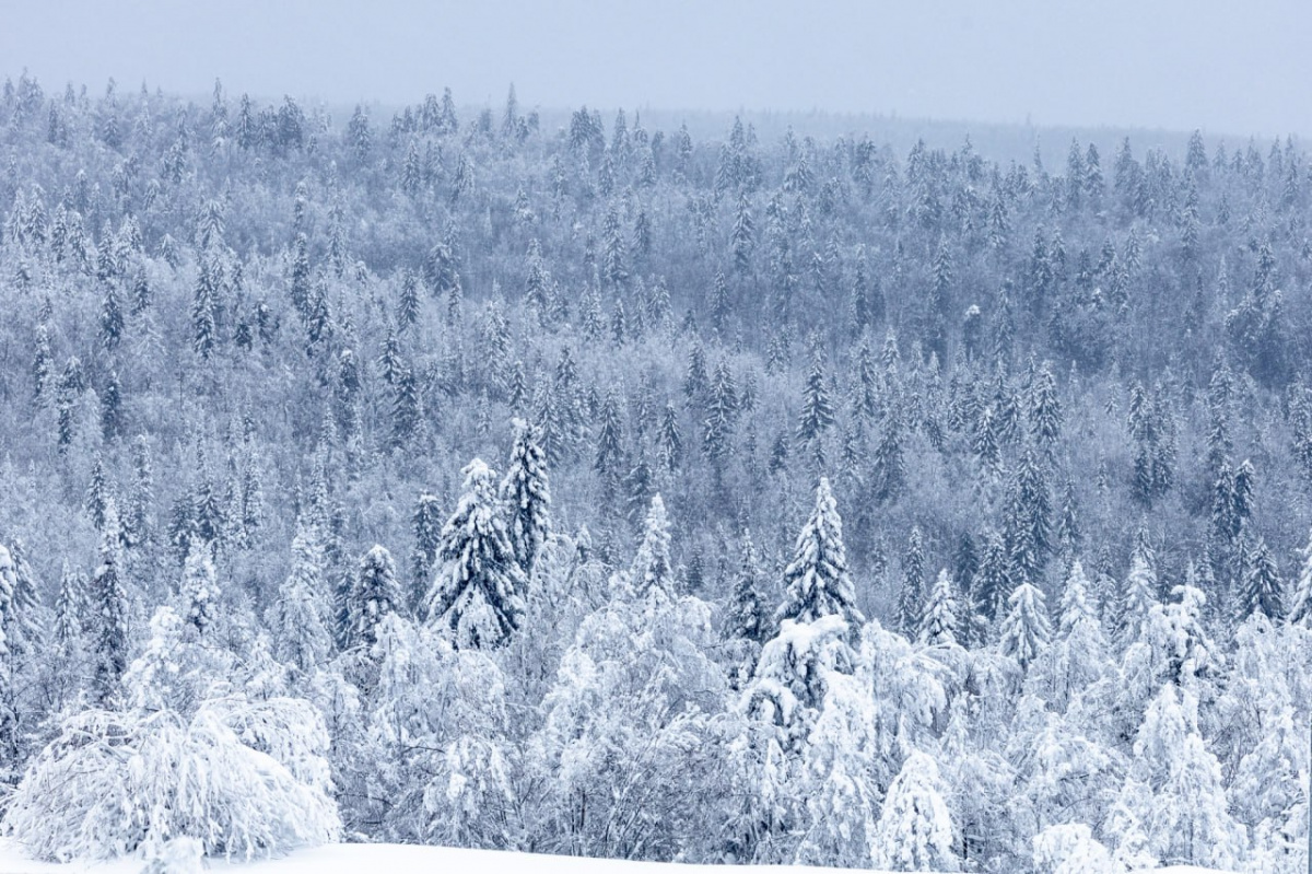 В нацпарках Челябинской области спасли 10 человек за время новогодних каникул*