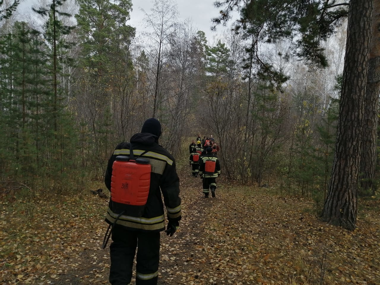 В Челябинской области тушат крупный пожар на 25 га леса