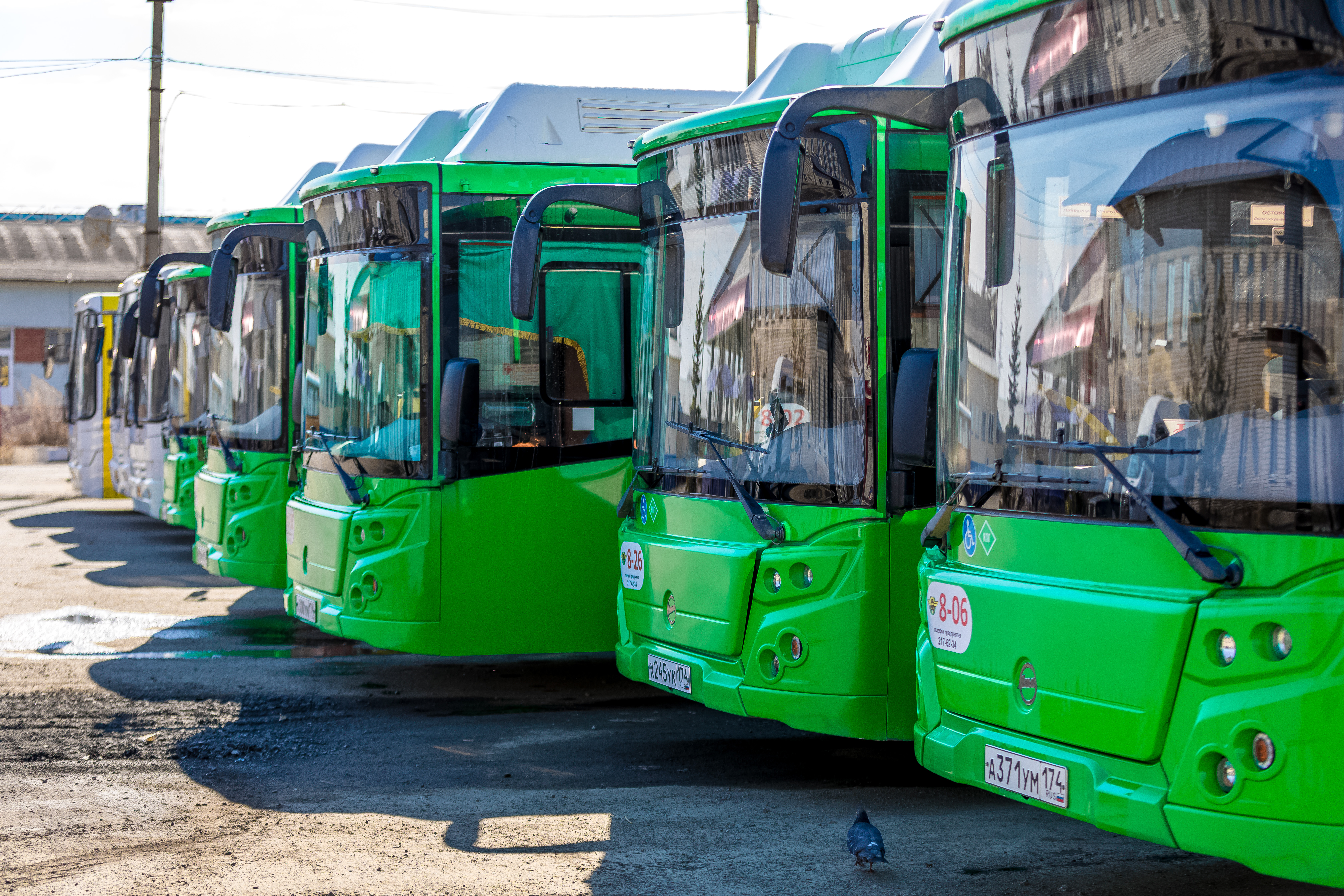 В городе Челябинской области 25 февраля не вышли на линию автобусы*1