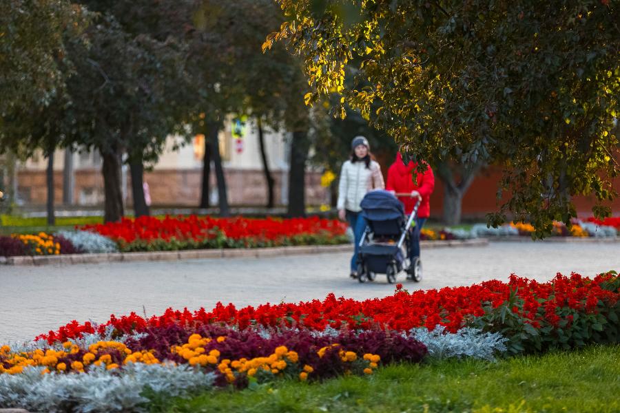 Челябинские эксперты оценили меры поддержки семей на Южном Урале*1