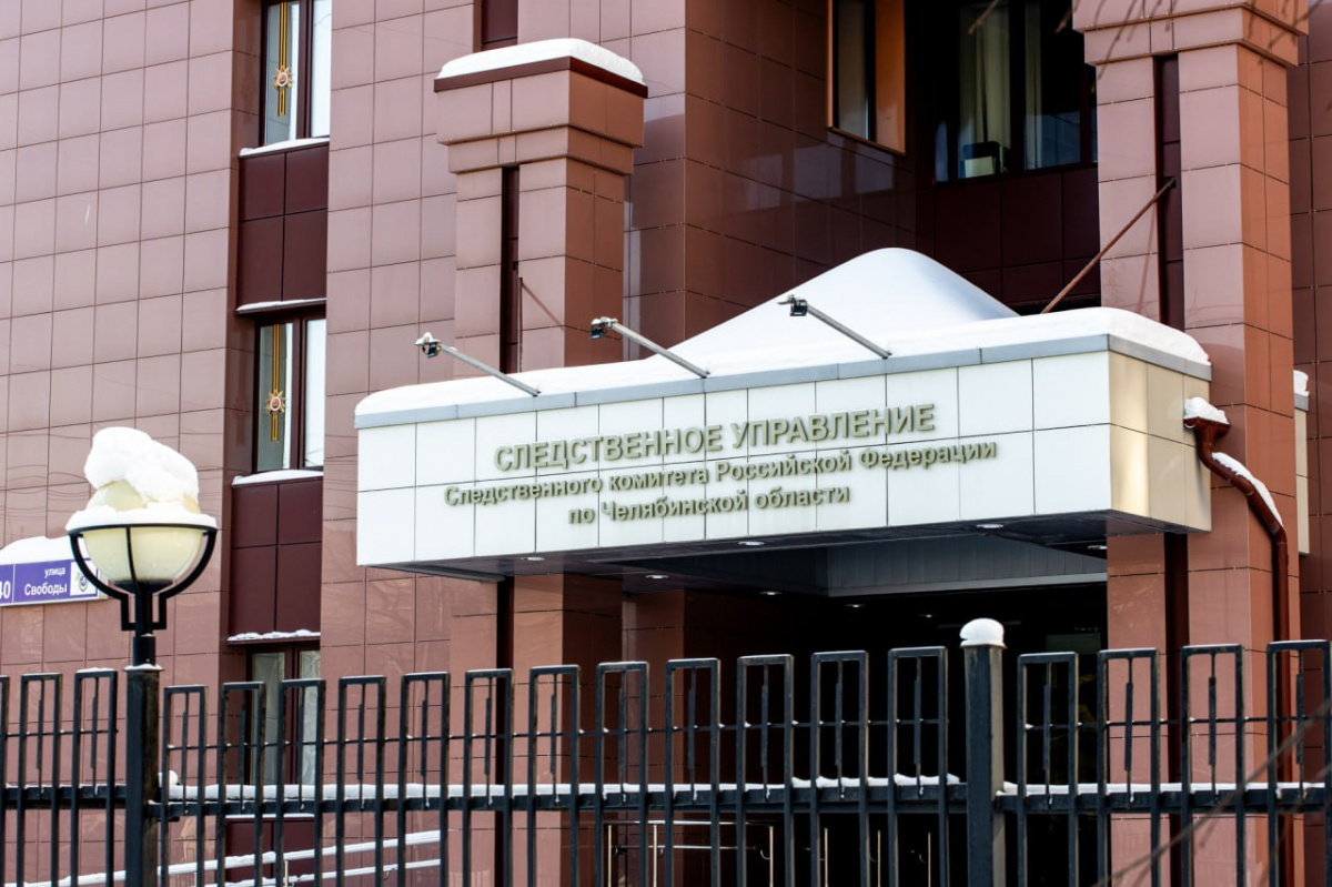 Бастрыкин потребовал разобраться с нападением собаки на женщину в Челябинске*