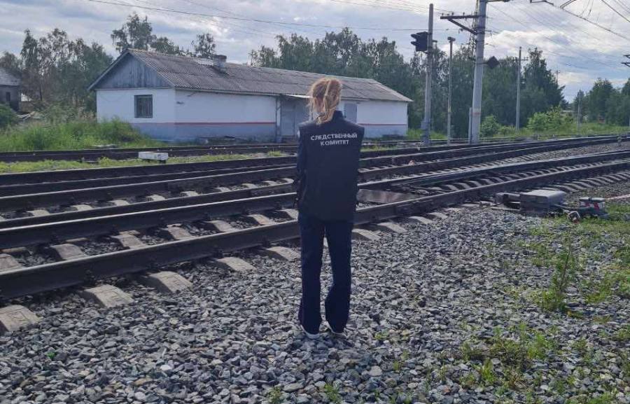 В Челябинской области грузовой поезд сбил двух пенсионерок