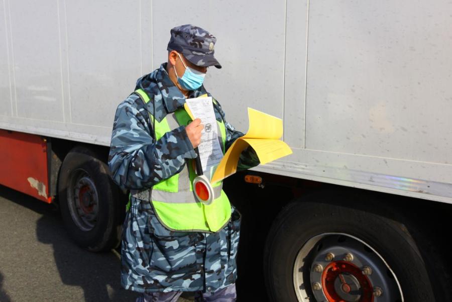 Незаконный вывоз 22 тонн муки пресекли в Челябинской области *1