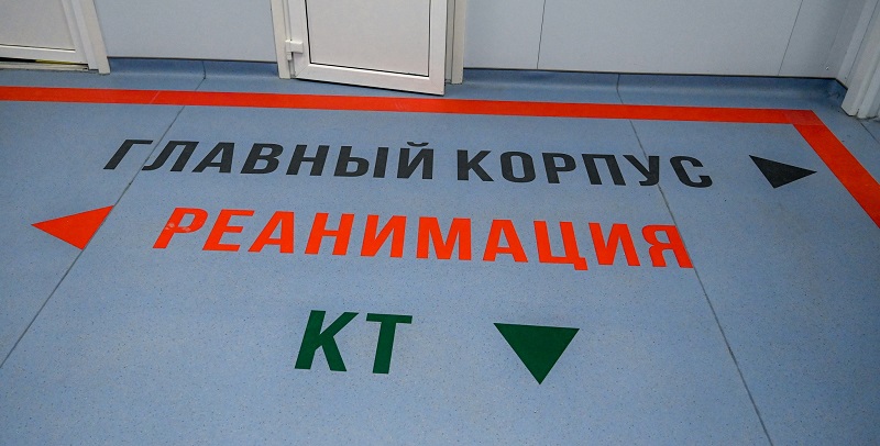 В Челябинской области выписали рекордное количество пациентов, перенесших ковид