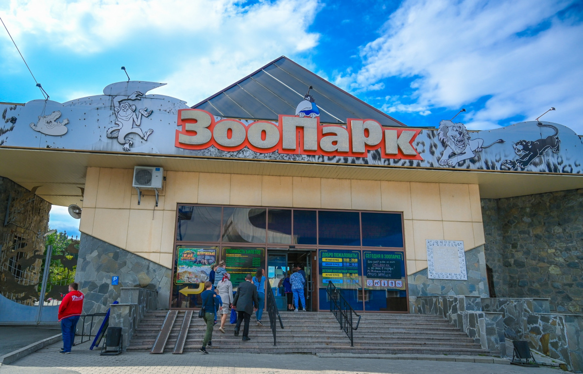 В Челябинский зоопарк привезли пуму из Казани*