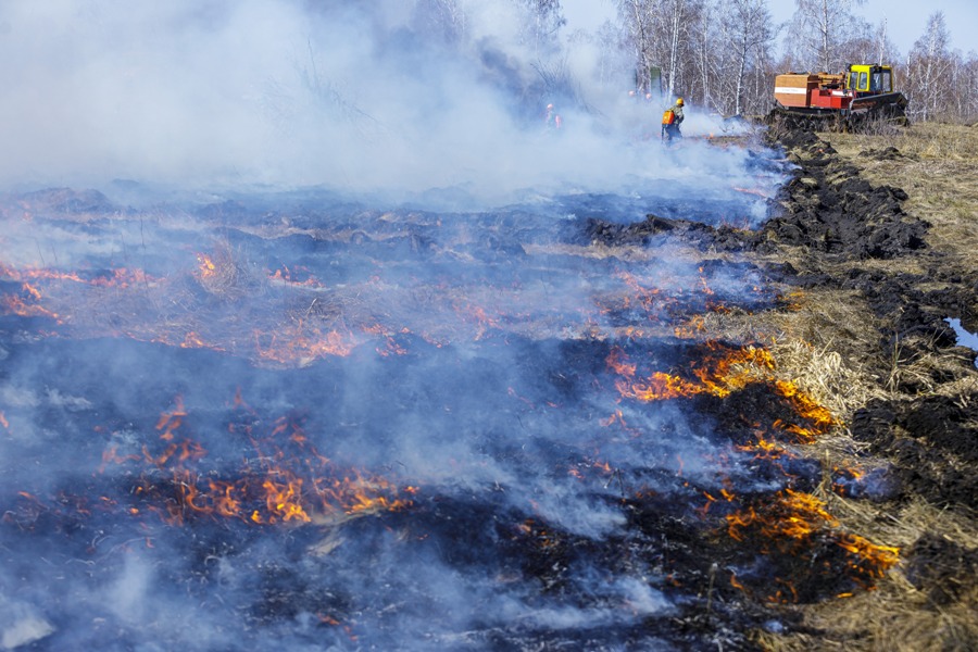 В России четвертый день подряд увеличивается площадь лесных пожаров*1