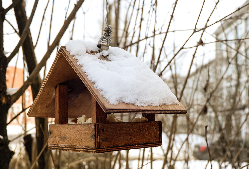 Кормушки для птиц зимой (64 фото)