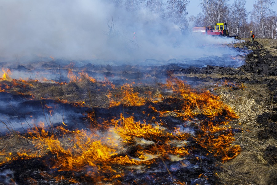 Крупный торфяной пожар в Челябинской области локализовали спустя неделю*1