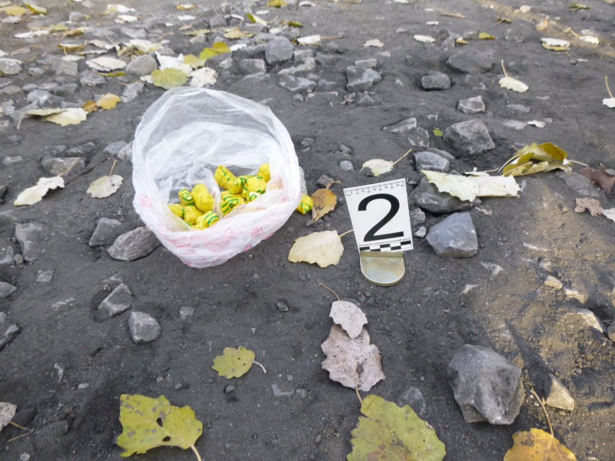 90 свертков с наркотиками нашли у молодой закладчицы в Челябинской области*