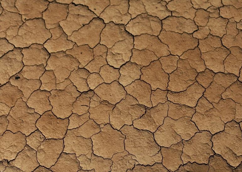 Из-за аномальной жары 14 районов Челябинской области охватила засуха
