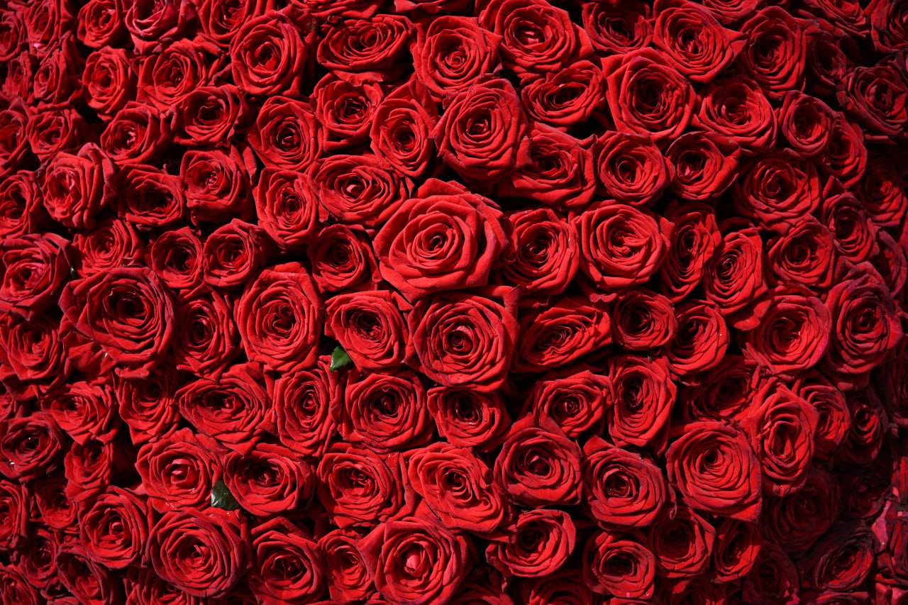 Мошенник похитил 51 розу из цветочного магазина в Челябинской области*
