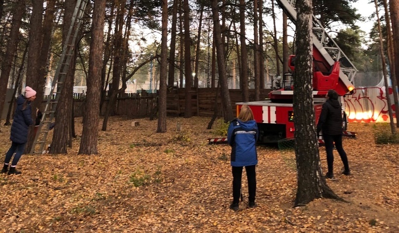 В парк Челябинска вызвали МЧС из-за сбежавшего хищника
