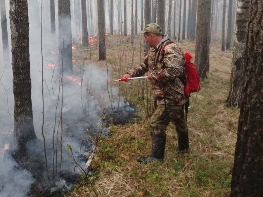 В Челябинской области из-за туристов выгорело более пяти гектаров леса