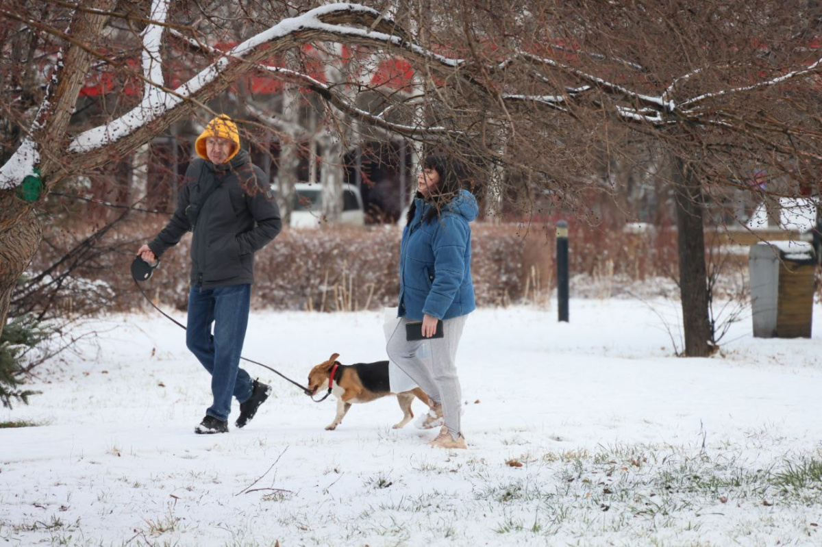 Циклон принесет в Челябинскую область мокрый снег и аномальное тепло*1