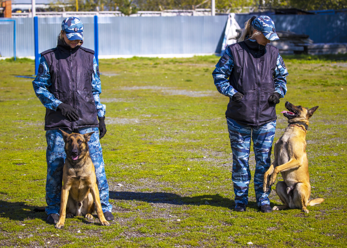 Пропавшего в Южноуральске дедушку с расстройством памяти чудом нашли живым*1