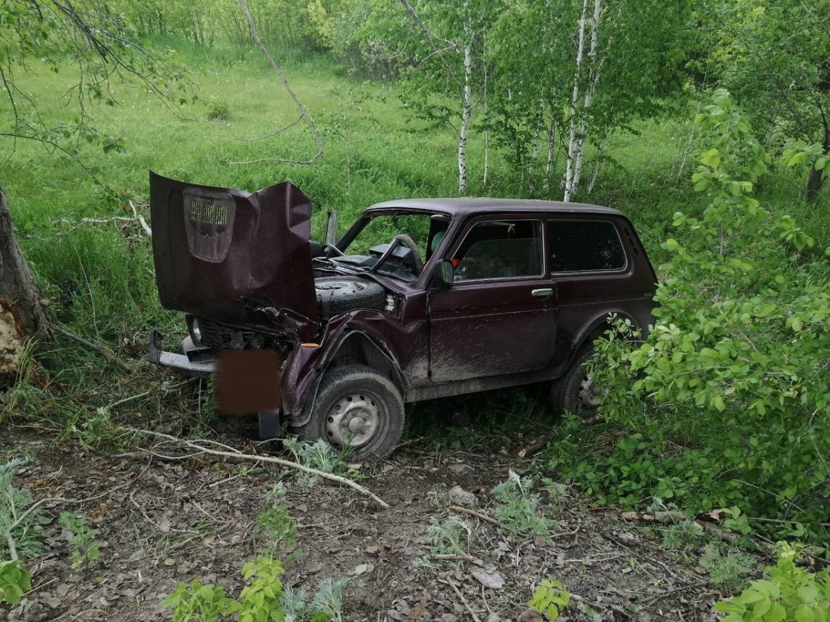 Пожилой водитель ВАЗа погиб в ДТП с деревом в Челябинской области*