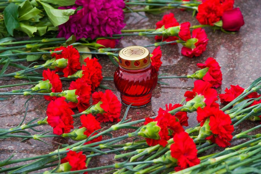 Челябинские эксперты: молодому поколению необходимо объяснять, что такое фашизм*1