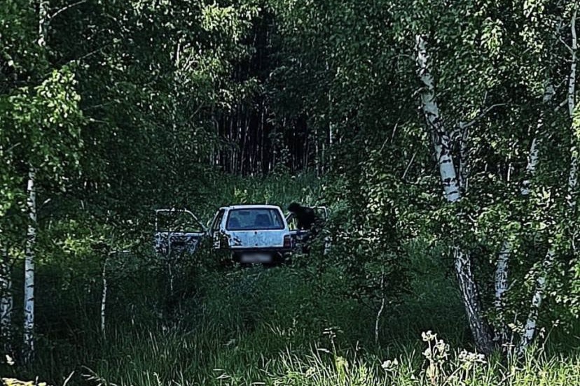 Четверо парней угнали Оку и бросили её в лесу под Челябинском*