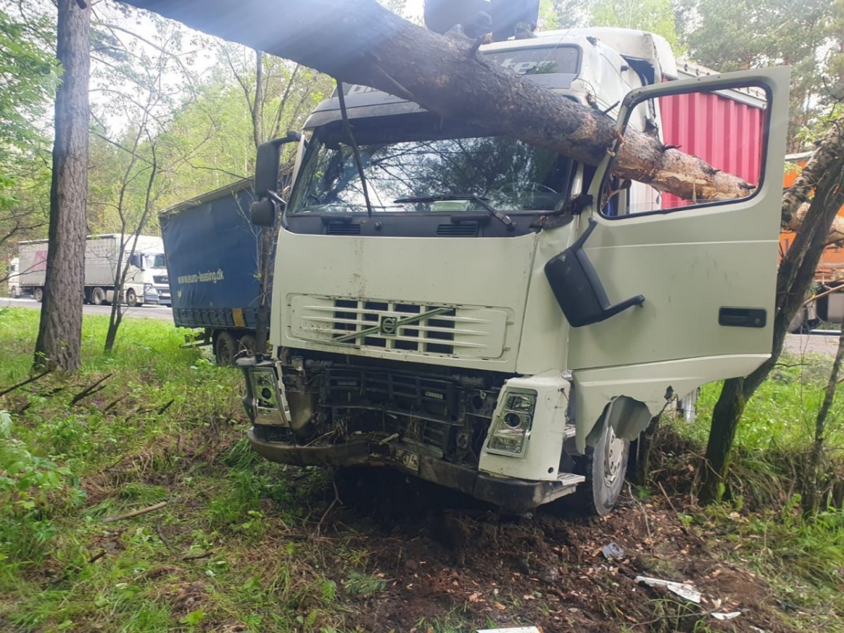 Сосна «прошила» фуру после ДТП на М5 в Челябинской области*