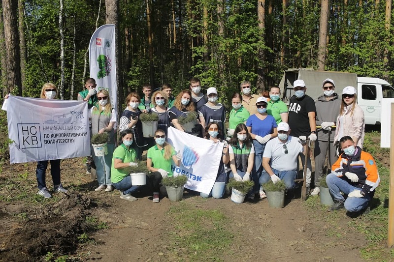 Более 19 тысяч молодых сосен пополнили «зеленый» актив челябинского бора