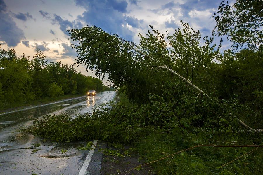 Жителей Челябинской области предупредили о надвигающемся шторме