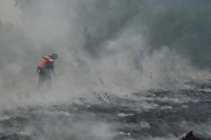 Два памятника природы пострадали от пожаров на юге Челябинской области*1