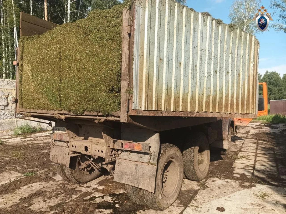 Дело о раздавленном грузовиком с сеном южноуральце направили в суд*
