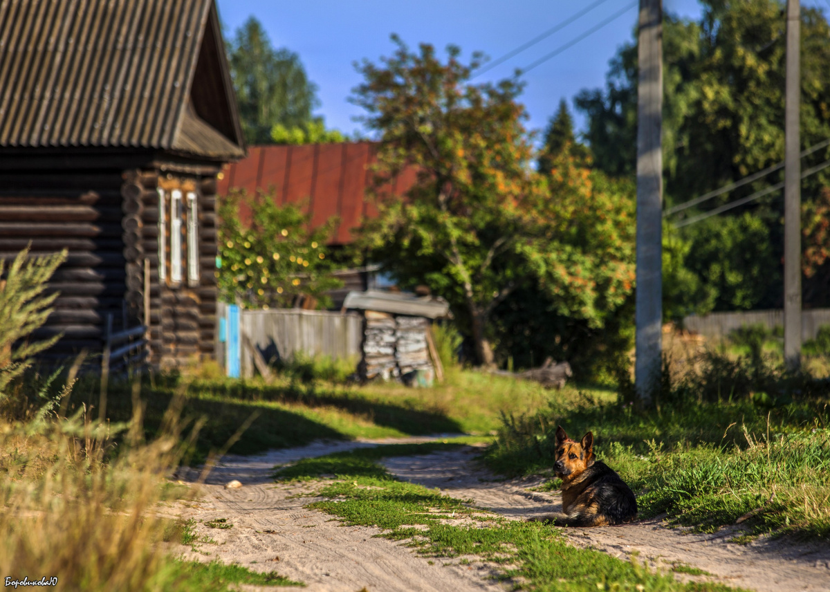 В Челябинске родители выбрали дачу и огород главным местом для детских каникул*