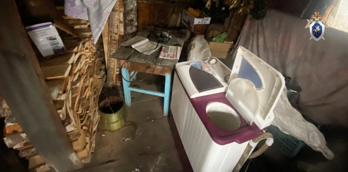 Челябинку отдали под суд за жуткое убийство новорожденного*