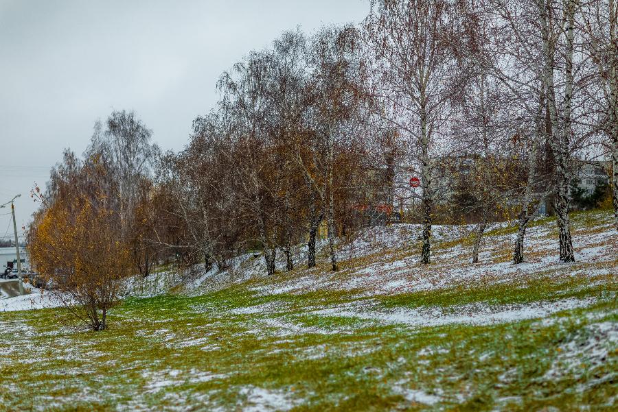 Заморозки до -4, мокрый снег и ветра обещают на выходные в Челябинской области*1