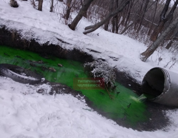 Зеленая вода вместо стула