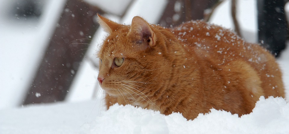 В среду в Челябинске ожидается снег и гололед