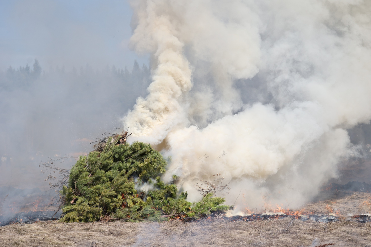 Почём пожары в Челябинской области: узнали цену спички, окурка и беспечности*