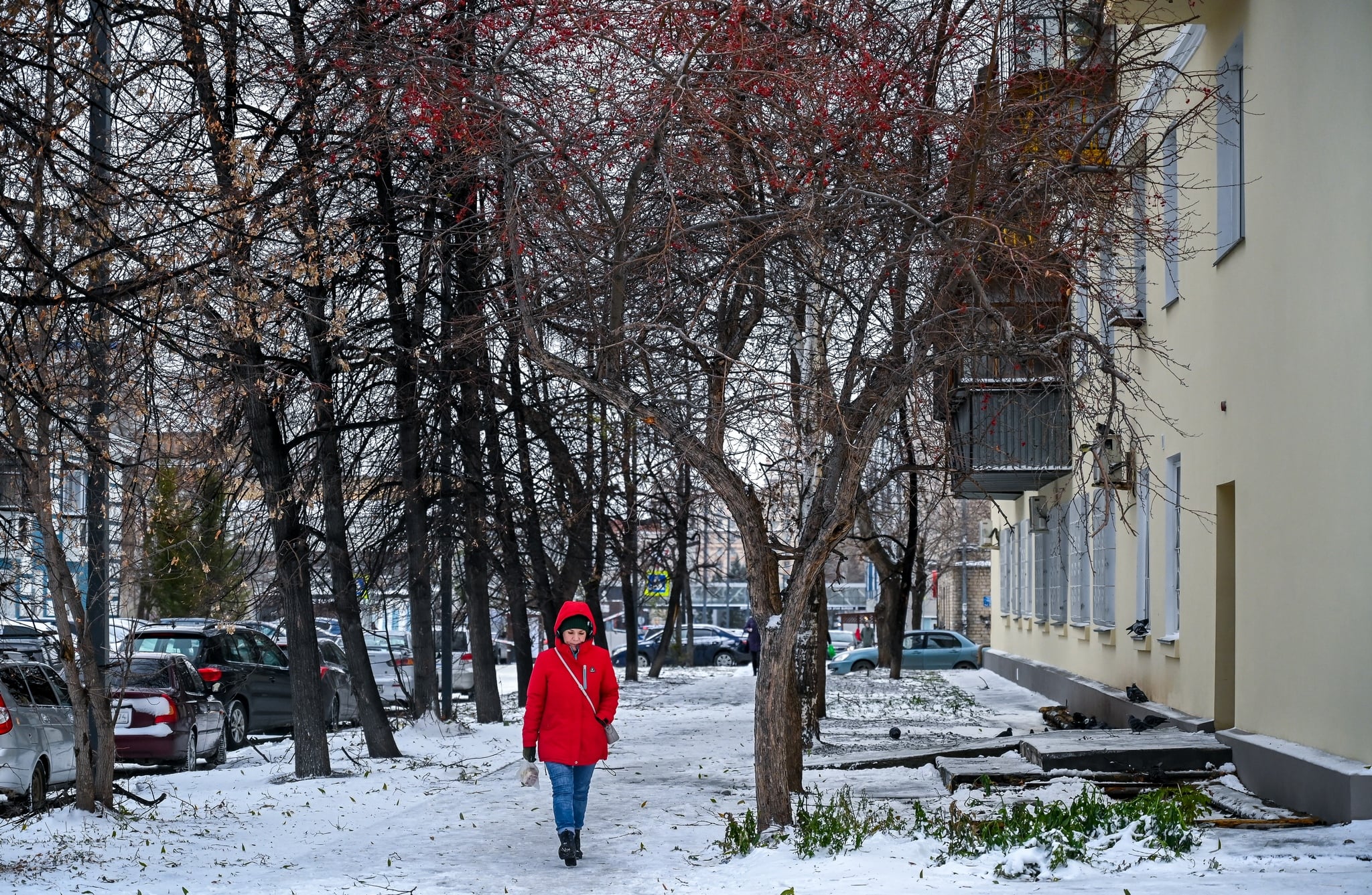 В Челябинской области ожидается холодная и снежная погода