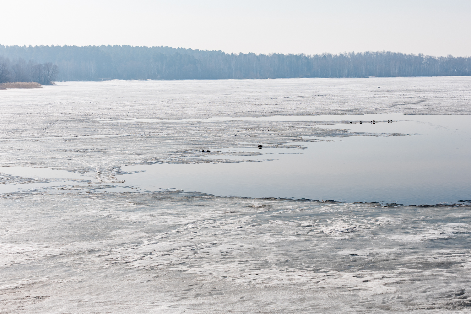 Ходят по тонкому льду: ради какой рыбы челябинцы рискуют жизнью