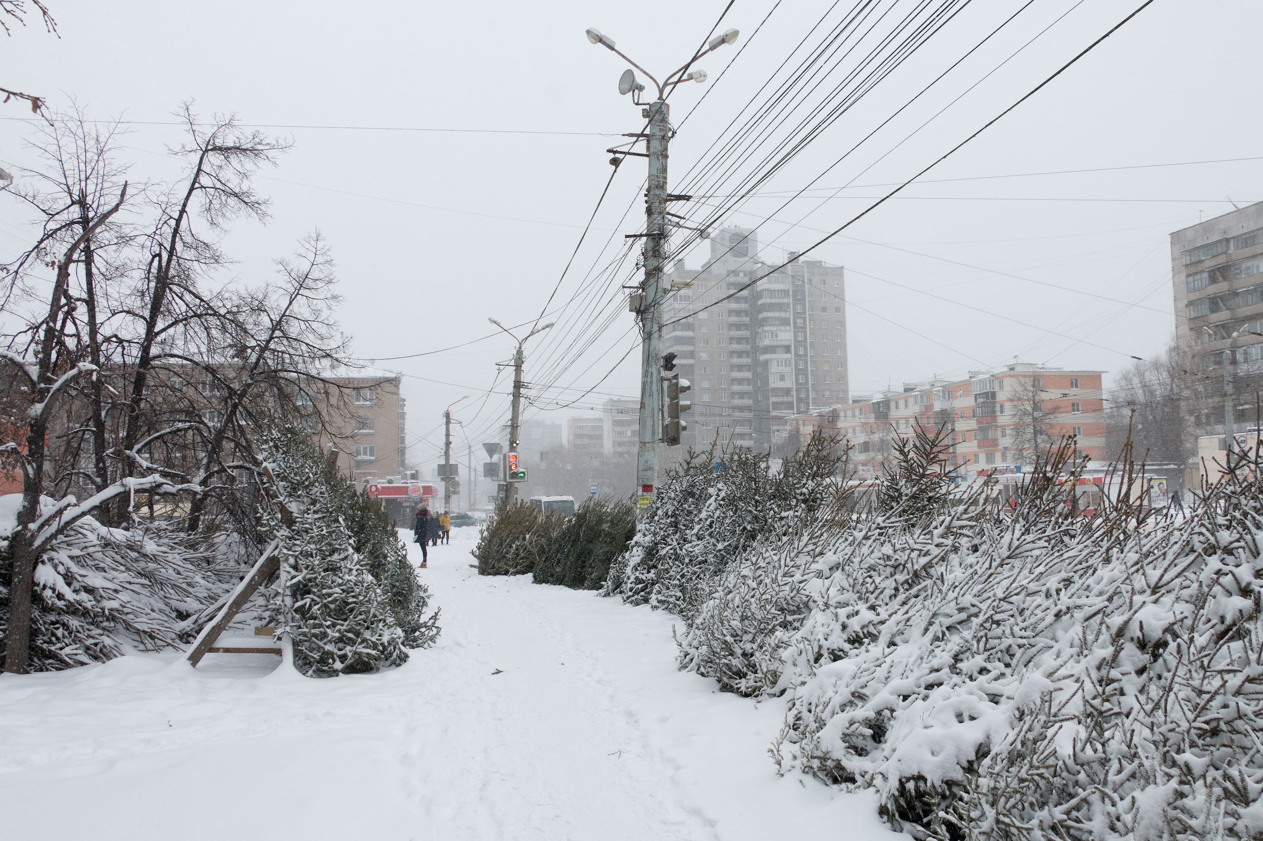 Новогодние елки из Челябинска отправят на переработку