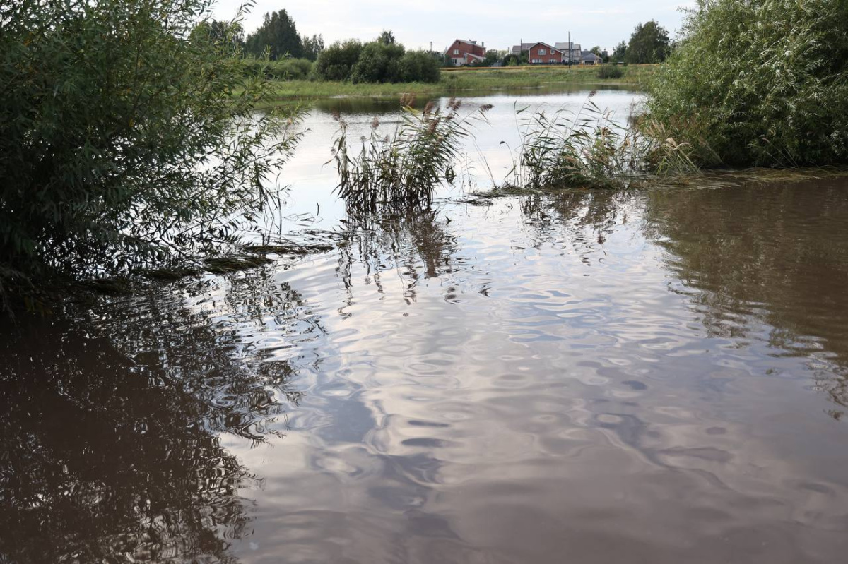Власти опровергли фейки о прорыве дамбы в Челябинской области*