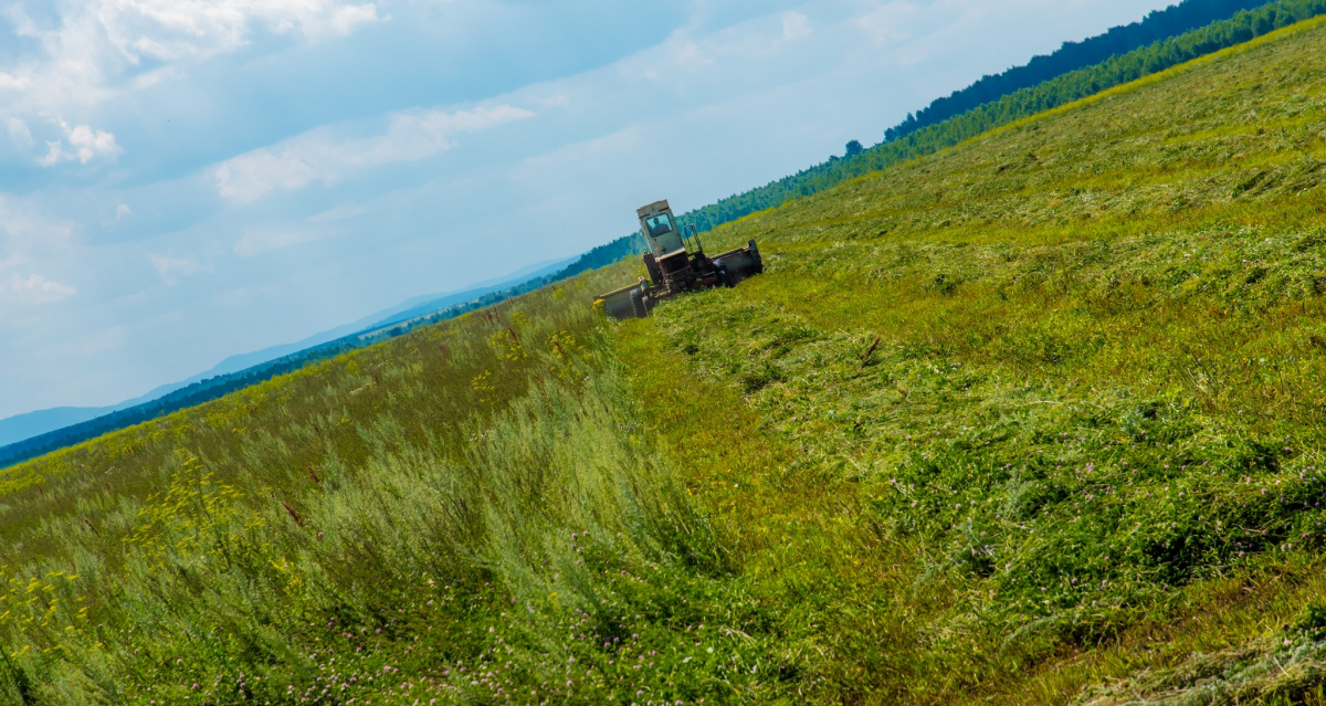 В Челябинской области изменили принцип перевода земель в другую категорию*1