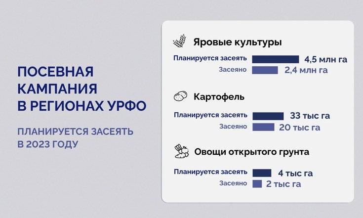 Больше всего картофеля в 2023 году засеяли аграрии Челябинской области
