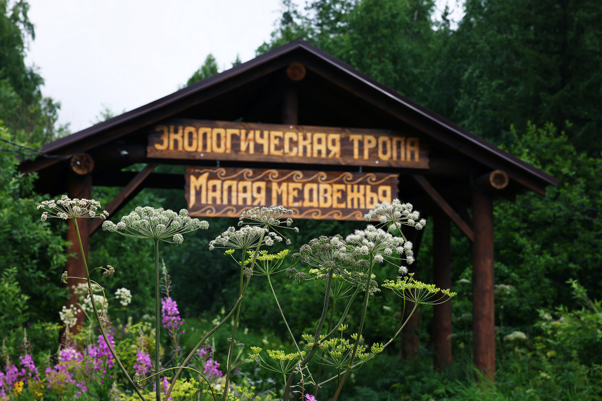 Александр Решетов стал новым директором нацпарка «Зюраткуль»*1