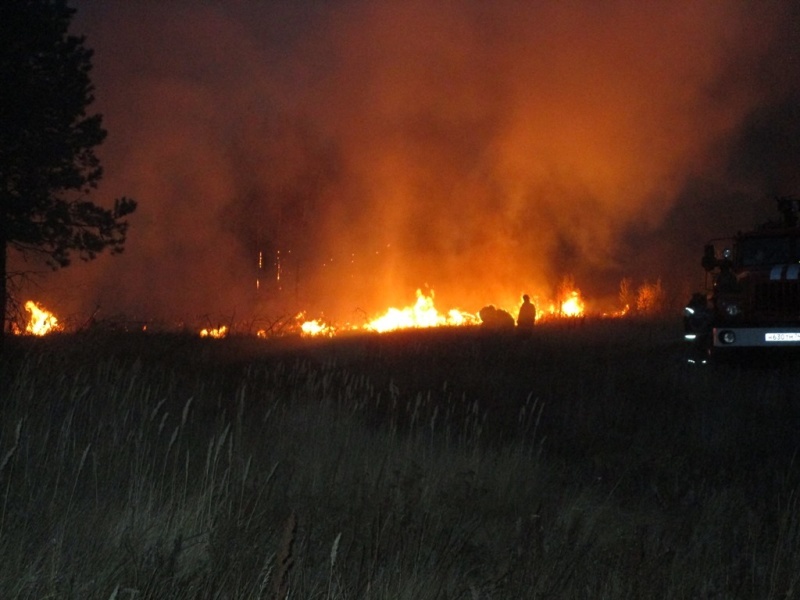 На тушение лесного пожара в Челябинской области направили помощь