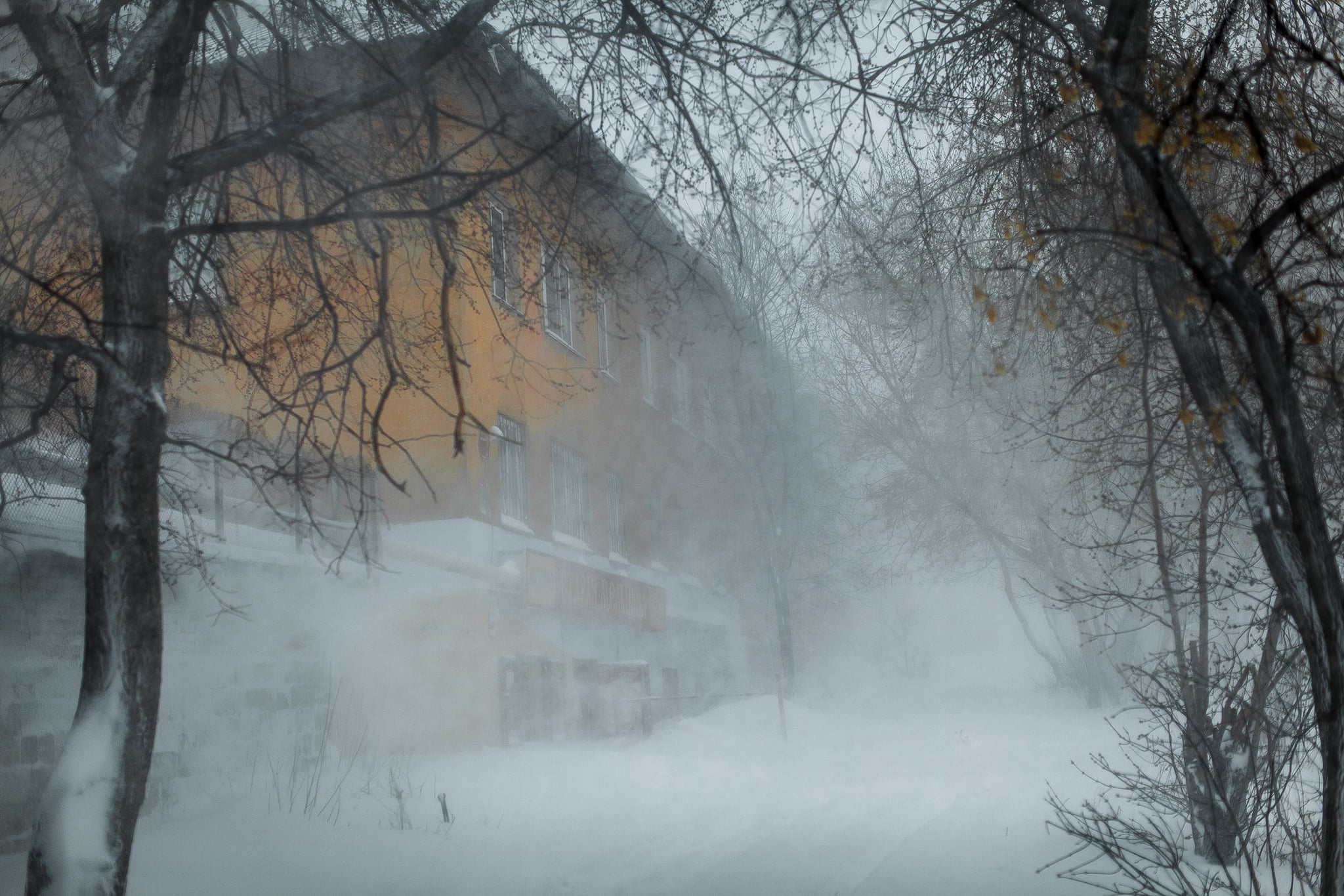 Снежная буря обрушилась на юг Челябинской области