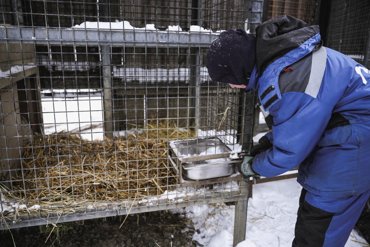 В челябинском зоопарке раскрыли меню новогоднего застолья животных