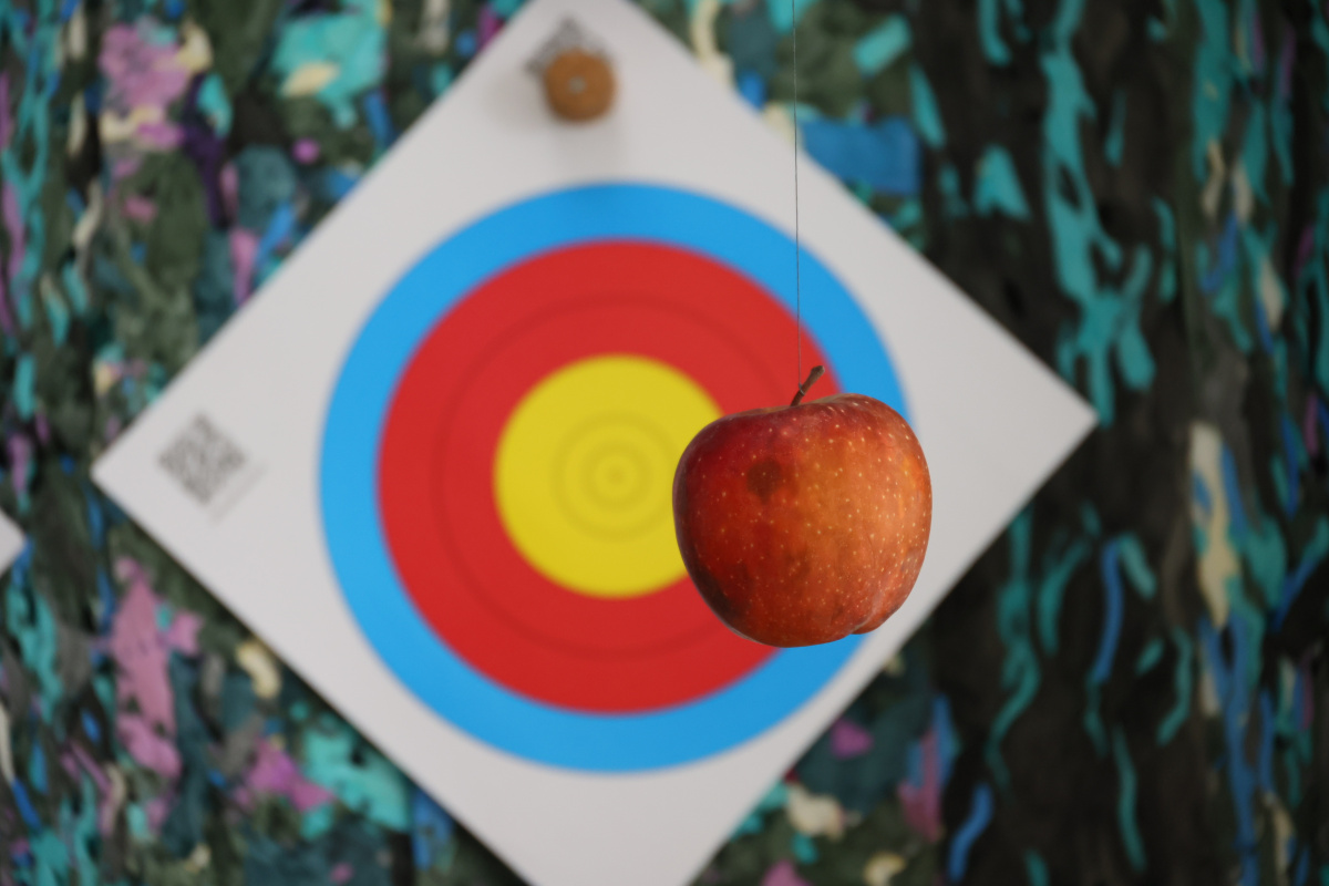 Не долетело: кыштымские силовики сбили арбалетную посылку с запрещёнкой*