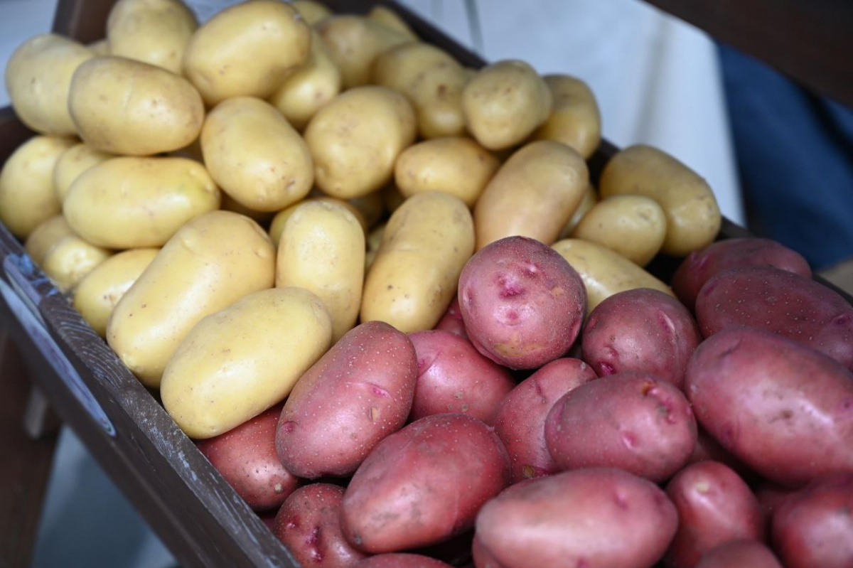 В Челябинской области выросло производство сельхозпродукции*