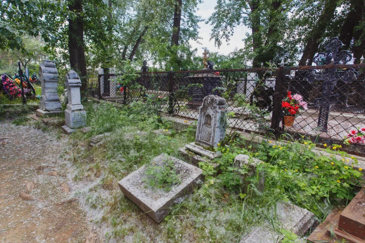 Челябинское кладбище незаконно рубило лес и хоронило людей в лесфонде*